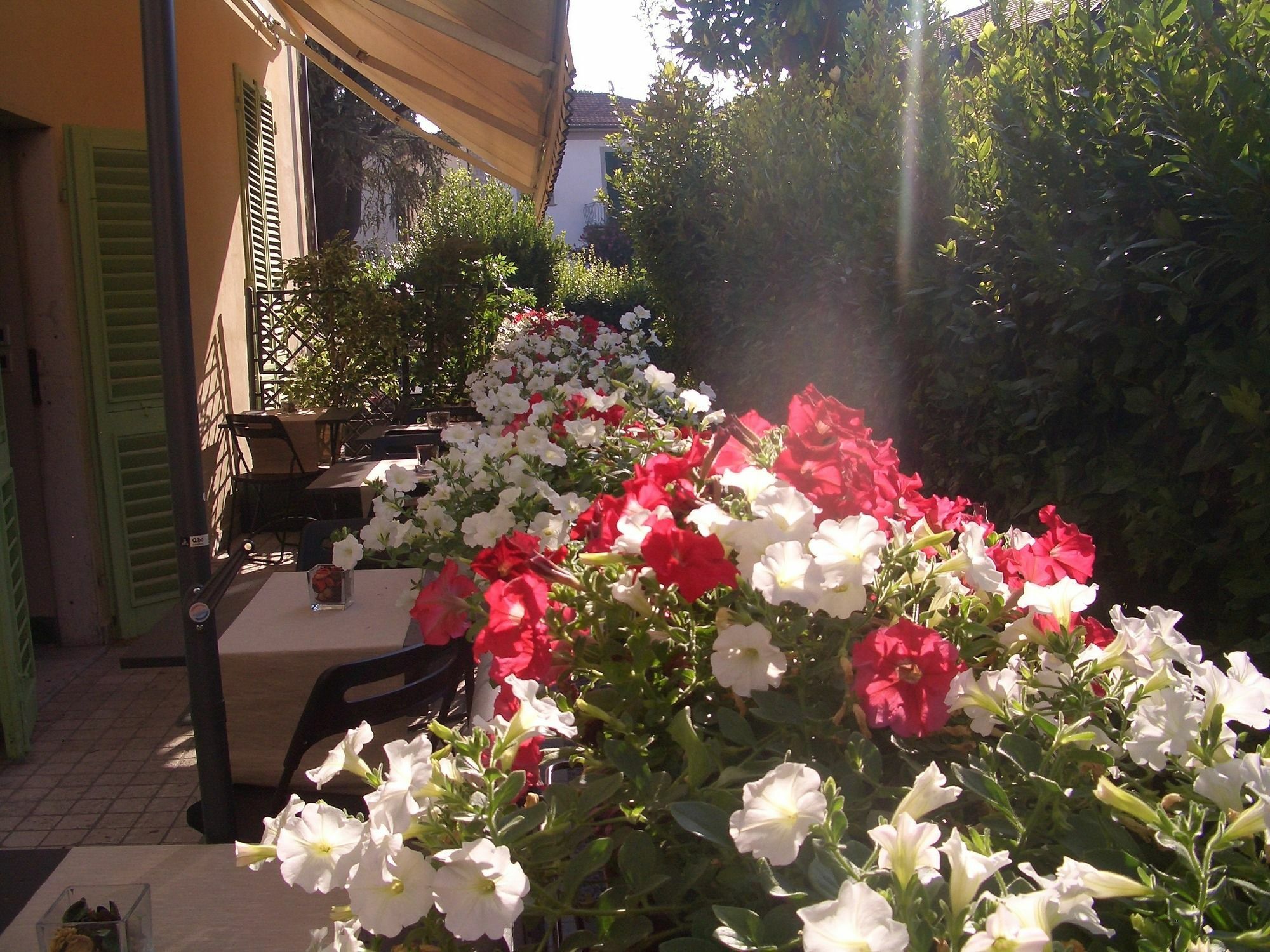 Lucca Relais Bed & Breakfast Ngoại thất bức ảnh